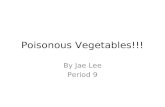 Poisonous Vegetables!!! By Jae Lee Period 9. Lima Beans Lima beans have to be cooked fully because the raw beans contain a product called limarin. Only.