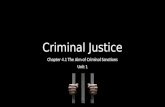 Criminal Justice Chapter 4.1 The Aim of Criminal Sanctions Unit 1.