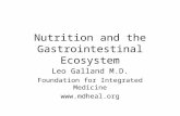 Nutrition and the Gastrointestinal Ecosystem Leo Galland M.D. Foundation for Integrated Medicine .