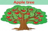 Apple tree. History Apples originated in Europe near the Caspian Sea and were eaten by ancient Greeks and Romans There has been evidence of apples found.
