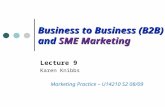 Business to Business (B2B) and SME Marketing Lecture 9 Karen Knibbs Marketing Practice – U14210 S2 08/09.