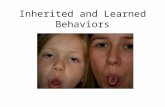 Inherited and Learned Behaviors. Traits (Behavior) Traits are something an organism does. Examples: A bear hibernating Plant stems growing up and roots.