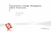 Salesforce Change Management Best Practices. Salesforce Change Management  Business Driver  Best Practice Overview  Topics of Discussion –Managing.