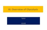 III. Overview of Glycolysis Tahir ASAB. IV. Transport of Glucose Into Cells.