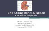 End Stage Renal Disease Interstitial Nephritis Major Case Study Krista Blackwell Sodexo Mid-Atlantic DI January 28, 2014.
