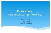 Diarrhea Parasitic Infection By Dana Hogan Linsy Ogden Teresa Pearson.
