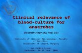 Clinical relevance of blood-culture for anaerobes Elisabeth Nagy MD, PhD, DSc Institute of Clinical Microbiology, Faculty of Medicine, University of Szeged,