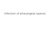 Infection of pharyngeal spaces. The retropharyngeal space lies behind the pharynx and esophagus, just anterior to the prevertebral fascia. It extends.