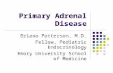 Primary Adrenal Disease Briana Patterson, M.D. Fellow, Pediatric Endocrinology Emory University School of Medicine.