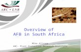 Overview of AFB in South Africa Mike Allsopp ARC- Plant Protection Research Institute.