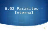 6.02 Parasites - Internal. Parasitology  The study of organisms that live on or in other organisms to survive  Parasites – may invade internal or.
