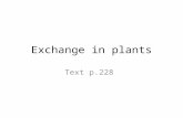 Exchange in plants Text p.228. Homework White book p103,104 gas and solute exchange, 108 water flow through plants.