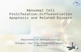 Abnormal Cell Proliferation,Differentiation Apoptosis and Related Disease Department of Pathophysiology Shanghai Jiao-Tong University School of Medicine.