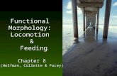 FunctionalMorphology:Locomotion& Feeding Feeding Chapter 8 (Helfman, Collette & Facey)