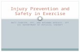 MATT CURRIER, SPT, AND BRIANNA DEBIASI, SPT UIC DEPARTMENT OF PHYSICAL THERAPY Injury Prevention and Safety in Exercise.