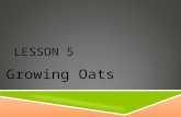 LESSON 5 Growing Oats. NEXT GENERATION SCIENCE/COMMON CORE STANDARDS ADDRESSED!  CCSS.ELA-Literacy.RST.9-10.7 Translate quantitative or technical information.