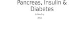 Pancreas, Insulin & Diabetes In One Day 2015.