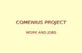 COMENIUS PROJECT WORK AND JOBS Traditionally, there have been jobs done mainly by men, and others by women BRICKLAYER.