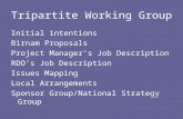 Tripartite Working Group Initial intentions Birnam Proposals Project Manager’s Job Description RDO’s Job Description Issues Mapping Local Arrangements.