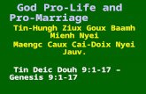 God Pro-Life and Pro-Marriage Tin-Hungh Ziux Goux Baamh Mienh Nyei Maengc Caux Cai-Doix Nyei Jauv. Tin Deic Douh 9:1-17 – Genesis 9:1-17 February 24, 2008.