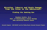 Nicotine, Tobacco and Brain Damage, From the Fetus to the Adolescent: Finding the Smoking Gun Theodore Slotkin, Ph.D. Dept. of Pharmacology & Cancer Biology.