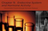 Chapter 9: Endocrine System and Hormone Activity Homeostatic Control through Hormone Release.