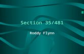 Section 35/481 Roddy Flynn Section 35 History Introduced in 1987, almost coinciding with suspension of Film Board. Subsequently revised in 1989, 1993,