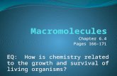 Chapter 6.4 Pages 166-171 EQ: How is chemistry related to the growth and survival of living organisms?