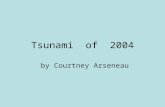 Tsunami of 2004 by Courtney Arseneau. Definition of Tsunami  (TSU) means hello and (Nami) means wave.  A brief series of long, high waves on the surface.