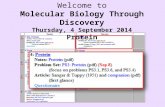 Welcome to Molecular Biology Through Discovery Thursday, 4 September 2014 Protein.
