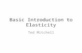 Basic Introduction to Elasticity Ted Mitchell. These slides identify The 3 basic uses of price elasticity The basic definition of elasticity The 3 basic.
