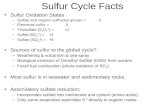 Sulfur Cycle Facts Sulfur Oxidation States –Sulfide and organic sulfhydryl groups = -2 –Elemental sulfur = 0 –Thiosulfate (S 2 O 3 -2 ) = +2 –Sulfite (SO.