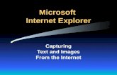Microsoft Internet Explorer Capturing Text and Images From the Internet.