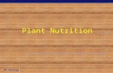 Plant Nutrition Nutritional needs  Autotrophic  plants need…  sun as an energy source  inorganic compounds as raw materials  water (H 2 O)  CO.