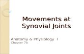 Movements at Synovial Joints Anatomy & Physiology I Chapter 7b.