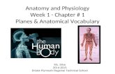 Anatomy and Physiology Week 1 - Chapter # 1 Planes & Anatomical Vocabulary Ms. Silva 2014-2015 Bristol-Plymouth Regional Technical School.