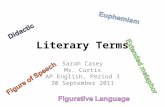 Literary Terms Sarah Casey Ms. Curtis AP English, Period 3 30 September 2011.