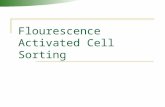 Flourescence Activated Cell Sorting. Definitions Flow Cytometry  Measuring properties of cells in flow Flow Sorting  Sorting (separating) cells based.