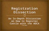 An In-Depth Discussion on How to Register Cattle with the ADCA 6-24-2015.