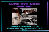 CALGARY YOUTH JUSTICE COMMITTEES Community Involvement in the Intervention and Prevention of Youth Crime.
