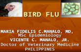 BIRD FLU MARIA FIDELIS C.MANALO, MD, MSc Epidemiology VICENTE C. MANALO, JR. Doctor of Veterinary Medicine PHILIPPINES.