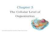 Chapter 3 The Cellular Level of Organization Lecture slides prepared by Curtis DeFriez, Weber State University.