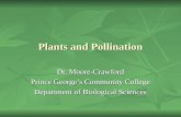 Plants and Pollination Dr. Moore-Crawford Prince George’s Community College Department of Biological Sciences.