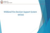 Wildland Fire Decision Support System WFDSS __________________________________________________________________________________________________.