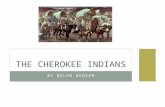 BY NOLAN BENSON THE CHEROKEE INDIANS. TOPICS COVERED Who are the Cherokee Indians? Their environment How they lived How they survived Skills they are.