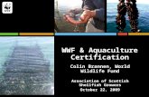 WWF & Aquaculture Certification Colin Brannen, World Wildlife Fund Association of Scottish Shellfish Growers October 22, 2009.