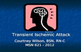 Transient Ischemic Attack Transient Ischemic Attack Courtney Wilson, BSN, RN-C MSN 621 - 2012 Microsoft clip art.