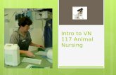 Intro to VN 117 Animal Nursing. The Moodle site Curriculum and timetable (tests) Lecture material Lab/practicals Expectations Assessment- peer / tutor.