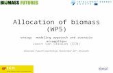 Allocation of biomass (WP5) energy modeling approach and scenario assumptions Joost van Stralen (ECN) Biomass Futures workshop, November 26 th, Brussels.