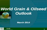 1 World Grain & Oilseed Outlook March 2014. 2 Summary –Corn Acreage Exhale Export Expansion?? Funds big buyers. SA Crop Shrinking Bearish Bias - $3.50.